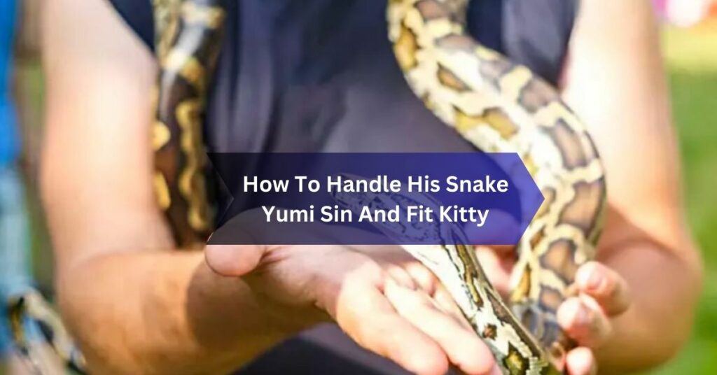 How To Handle His Snake Yumi Sin And Fit Kitty