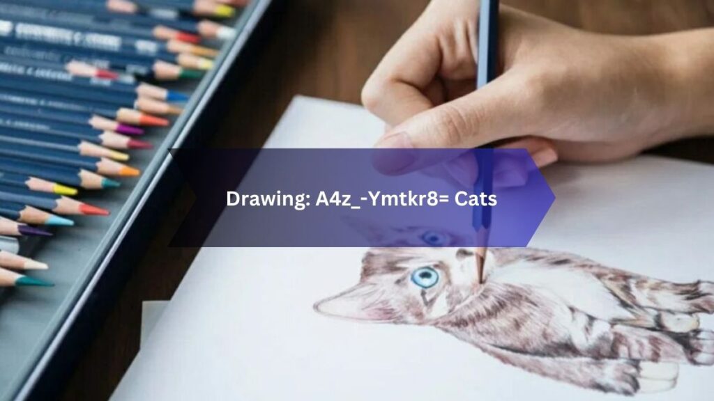 Drawing: A4z_-Ymtkr8= Cats