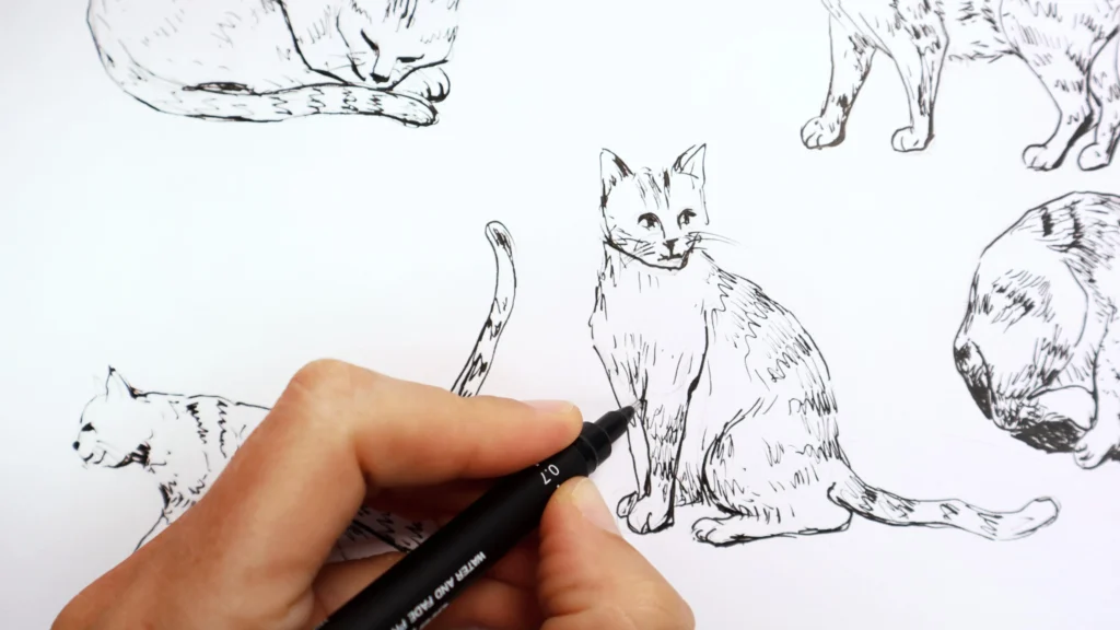 Drawing Techniques for Cats