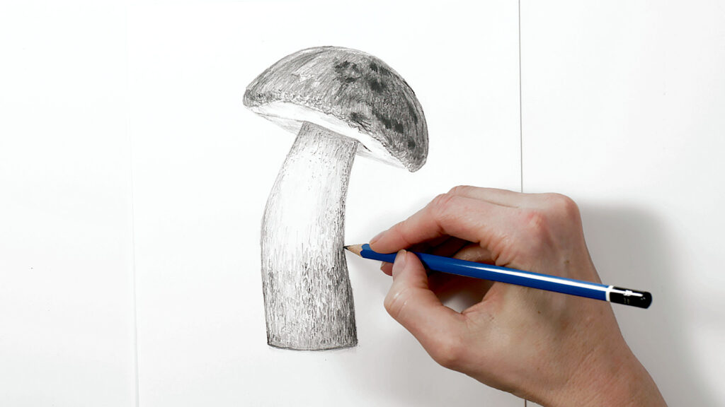 Should I Draw Mushrooms from Photos or Real Life